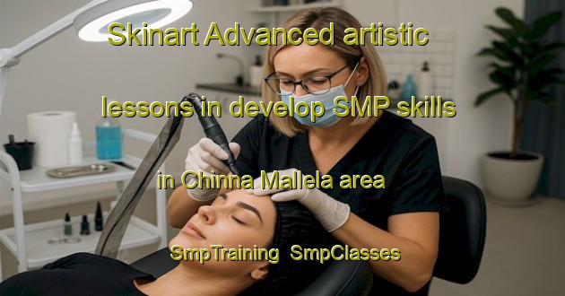 Skinart Advanced artistic lessons in develop SMP skills in Chinna Mallela area | SmpTraining | SmpClasses | SkinartTraining-India