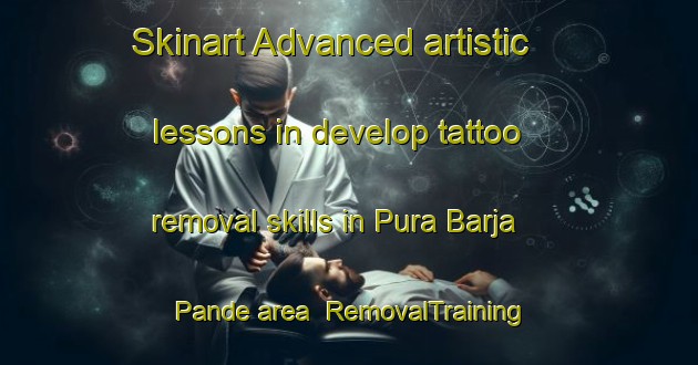 Skinart Advanced artistic lessons in develop tattoo removal skills in Pura Barja Pande area | RemovalTraining | RemovalClasses | SkinartTraining-India