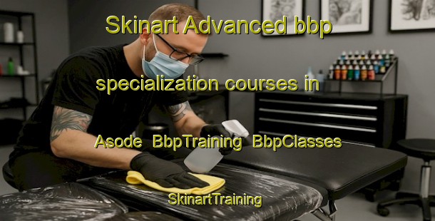 Skinart Advanced bbp specialization courses in Asode | BbpTraining | BbpClasses | SkinartTraining-India