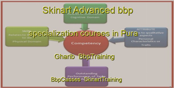 Skinart Advanced bbp specialization courses in Pura Gharib | BbpTraining | BbpClasses | SkinartTraining-India