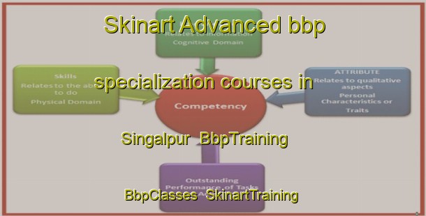Skinart Advanced bbp specialization courses in Singalpur | BbpTraining | BbpClasses | SkinartTraining-India
