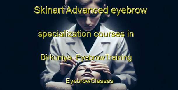 Skinart Advanced eyebrow specialization courses in Birkuniya | EyebrowTraining | EyebrowClasses | SkinartTraining-India