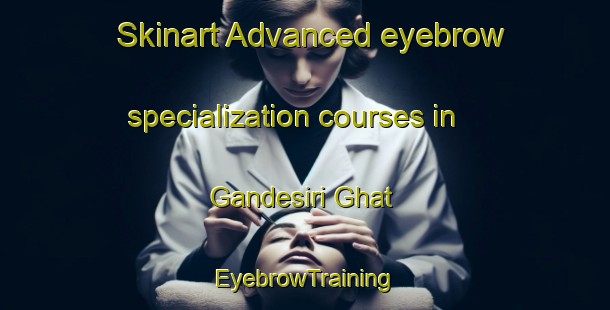 Skinart Advanced eyebrow specialization courses in Gandesiri Ghat | EyebrowTraining | EyebrowClasses | SkinartTraining-India