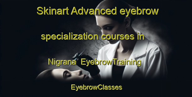 Skinart Advanced eyebrow specialization courses in Nigrana | EyebrowTraining | EyebrowClasses | SkinartTraining-India