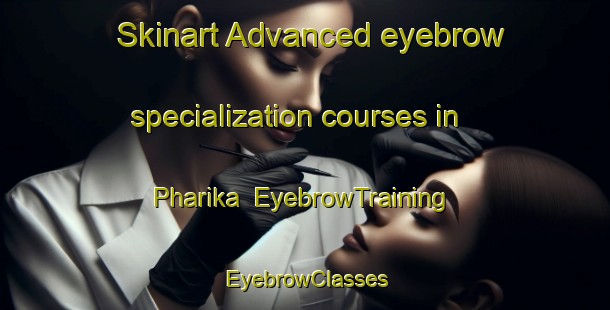 Skinart Advanced eyebrow specialization courses in Pharika | EyebrowTraining | EyebrowClasses | SkinartTraining-India
