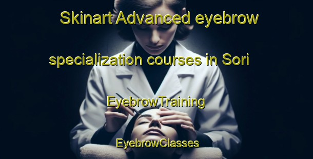 Skinart Advanced eyebrow specialization courses in Sori | EyebrowTraining | EyebrowClasses | SkinartTraining-India