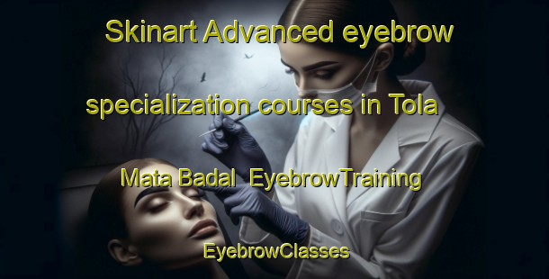 Skinart Advanced eyebrow specialization courses in Tola Mata Badal | EyebrowTraining | EyebrowClasses | SkinartTraining-India