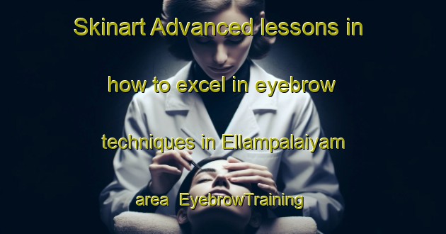Skinart Advanced lessons in how to excel in eyebrow techniques in Ellampalaiyam area | EyebrowTraining | EyebrowClasses | SkinartTraining-India