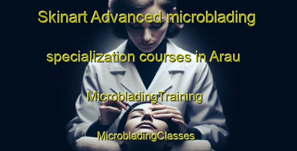 Skinart Advanced microblading specialization courses in Arau | MicrobladingTraining | MicrobladingClasses | SkinartTraining-India
