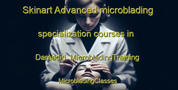 Skinart Advanced microblading specialization courses in Damadiri | MicrobladingTraining | MicrobladingClasses | SkinartTraining-India