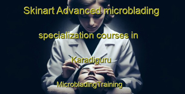 Skinart Advanced microblading specialization courses in Karadiguru | MicrobladingTraining | MicrobladingClasses | SkinartTraining-India