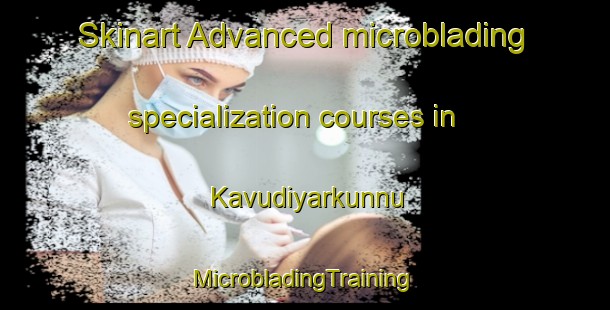 Skinart Advanced microblading specialization courses in Kavudiyarkunnu | #MicrobladingTraining #MicrobladingClasses #SkinartTraining-India