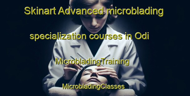 Skinart Advanced microblading specialization courses in Odi | MicrobladingTraining | MicrobladingClasses | SkinartTraining-India