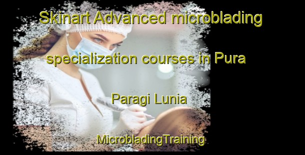 Skinart Advanced microblading specialization courses in Pura Paragi Lunia | #MicrobladingTraining #MicrobladingClasses #SkinartTraining-India