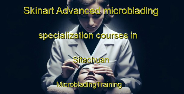Skinart Advanced microblading specialization courses in Sitachuan | MicrobladingTraining | MicrobladingClasses | SkinartTraining-India