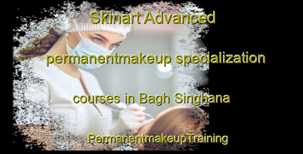 Skinart Advanced permanentmakeup specialization courses in Bagh Singhana | #PermanentmakeupTraining #PermanentmakeupClasses #SkinartTraining-India