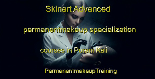 Skinart Advanced permanentmakeup specialization courses in Purani Kali | #PermanentmakeupTraining #PermanentmakeupClasses #SkinartTraining-India