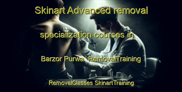 Skinart Advanced removal specialization courses in Barzor Purwa | #RemovalTraining #RemovalClasses #SkinartTraining-India