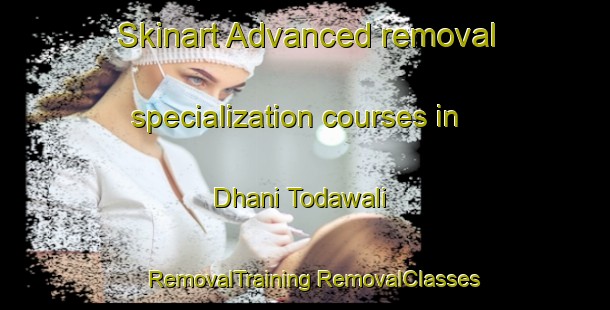 Skinart Advanced removal specialization courses in Dhani Todawali | #RemovalTraining #RemovalClasses #SkinartTraining-India