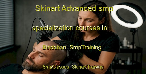 Skinart Advanced smp specialization courses in Bindaban | SmpTraining | SmpClasses | SkinartTraining-India