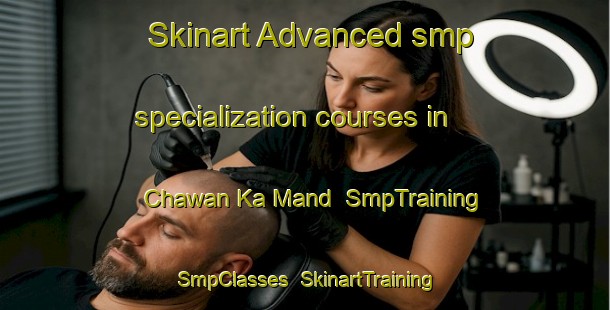 Skinart Advanced smp specialization courses in Chawan Ka Mand | SmpTraining | SmpClasses | SkinartTraining-India