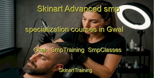 Skinart Advanced smp specialization courses in Gwal Chak | SmpTraining | SmpClasses | SkinartTraining-India