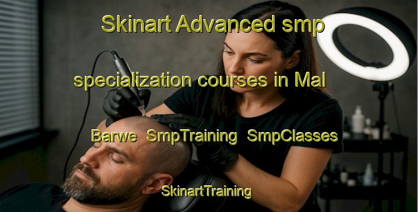 Skinart Advanced smp specialization courses in Mal Barwe | SmpTraining | SmpClasses | SkinartTraining-India