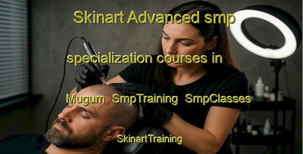 Skinart Advanced smp specialization courses in Mugum | SmpTraining | SmpClasses | SkinartTraining-India