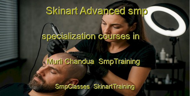 Skinart Advanced smp specialization courses in Murli Chandua | SmpTraining | SmpClasses | SkinartTraining-India