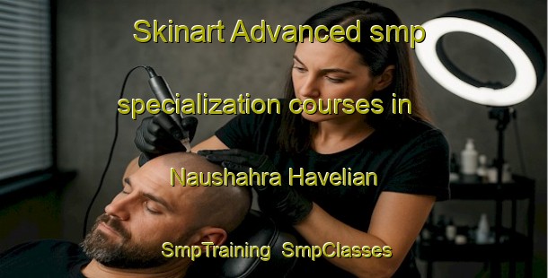 Skinart Advanced smp specialization courses in Naushahra Havelian | SmpTraining | SmpClasses | SkinartTraining-India
