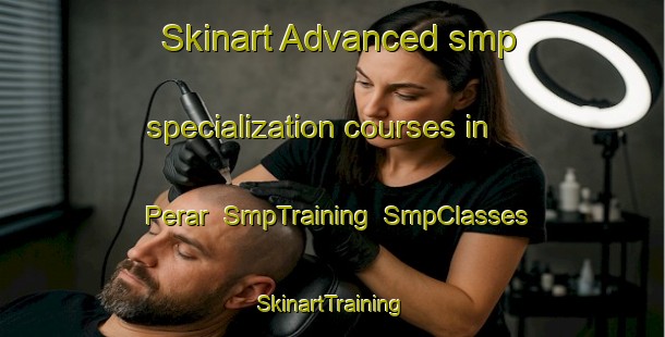 Skinart Advanced smp specialization courses in Perar | SmpTraining | SmpClasses | SkinartTraining-India