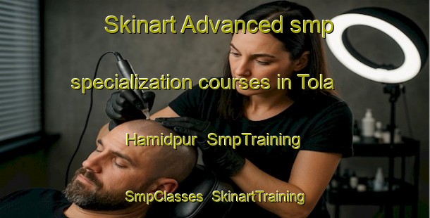 Skinart Advanced smp specialization courses in Tola Hamidpur | SmpTraining | SmpClasses | SkinartTraining-India