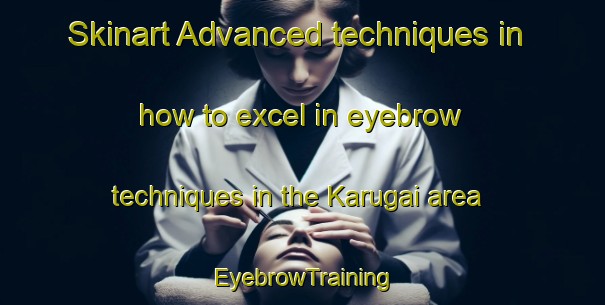Skinart Advanced techniques in how to excel in eyebrow techniques in the Karugai area | EyebrowTraining | EyebrowClasses | SkinartTraining-India
