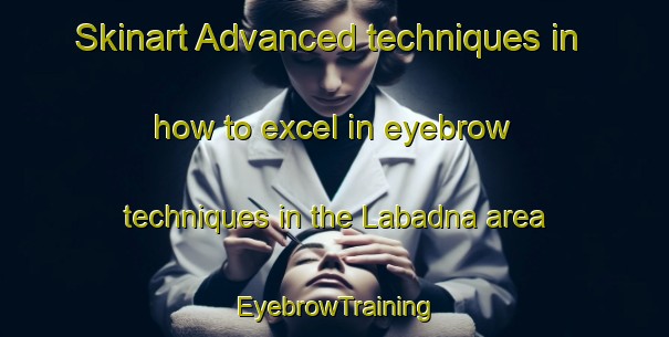 Skinart Advanced techniques in how to excel in eyebrow techniques in the Labadna area | EyebrowTraining | EyebrowClasses | SkinartTraining-India