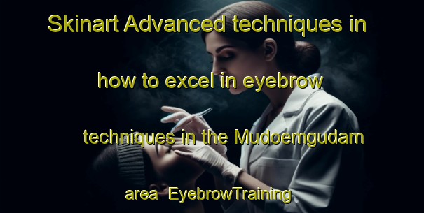 Skinart Advanced techniques in how to excel in eyebrow techniques in the Mudoemgudam area | EyebrowTraining | EyebrowClasses | SkinartTraining-India
