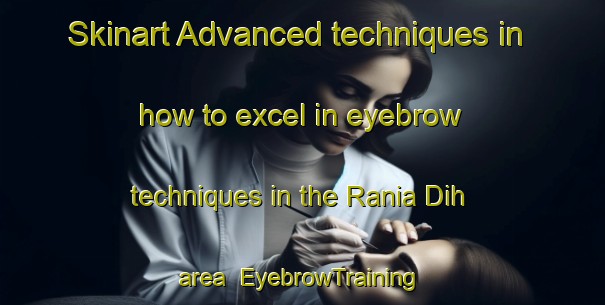 Skinart Advanced techniques in how to excel in eyebrow techniques in the Rania Dih area | EyebrowTraining | EyebrowClasses | SkinartTraining-India