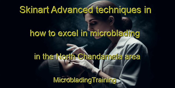 Skinart Advanced techniques in how to excel in microblading in the North Chandameta area | MicrobladingTraining | MicrobladingClasses | SkinartTraining-India