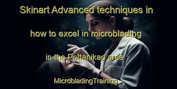 Skinart Advanced techniques in how to excel in microblading in the Pottanikad area | MicrobladingTraining | MicrobladingClasses | SkinartTraining-India