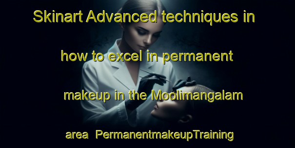 Skinart Advanced techniques in how to excel in permanent makeup in the Moolimangalam area | PermanentmakeupTraining | PermanentmakeupClasses | SkinartTraining-India