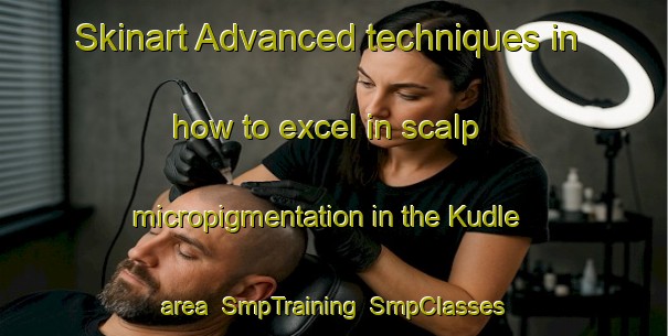 Skinart Advanced techniques in how to excel in scalp micropigmentation in the Kudle area | SmpTraining | SmpClasses | SkinartTraining-India