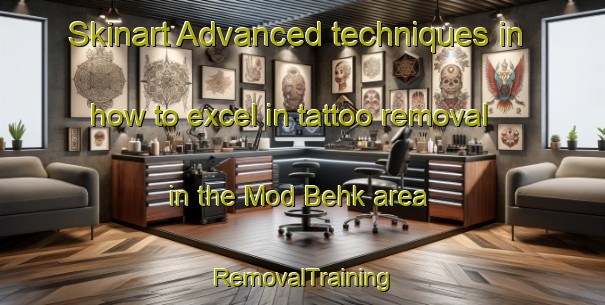 Skinart Advanced techniques in how to excel in tattoo removal in the Mod Behk area | RemovalTraining | RemovalClasses | SkinartTraining-India