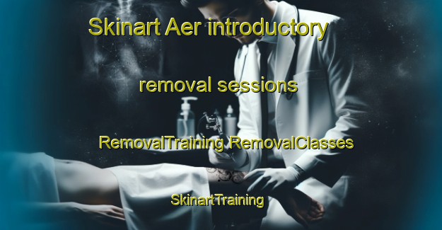 Skinart Aer introductory removal sessions | #RemovalTraining #RemovalClasses #SkinartTraining-India