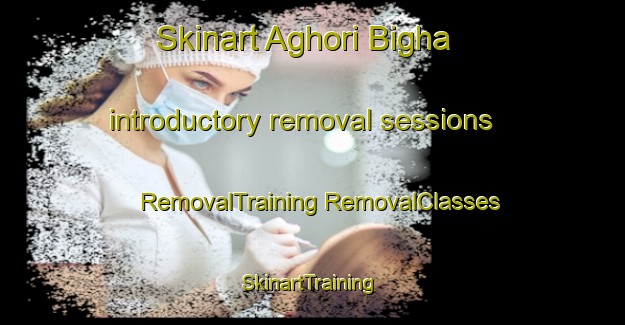 Skinart Aghori Bigha introductory removal sessions | #RemovalTraining #RemovalClasses #SkinartTraining-India