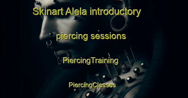 Skinart Alela introductory piercing sessions | PiercingTraining | PiercingClasses | SkinartTraining-India