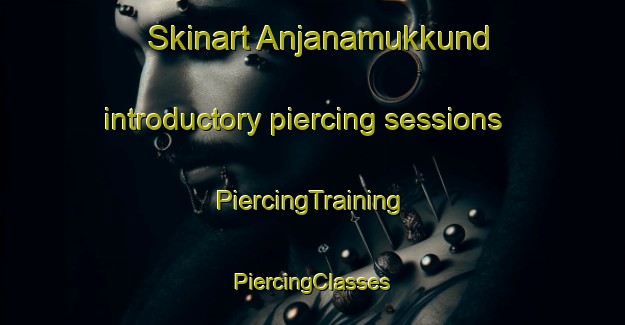 Skinart Anjanamukkund introductory piercing sessions | #PiercingTraining #PiercingClasses #SkinartTraining-India