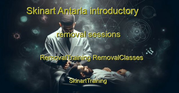 Skinart Antarla introductory removal sessions | #RemovalTraining #RemovalClasses #SkinartTraining-India