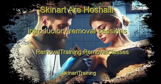 Skinart Are Hoshalli introductory removal sessions | #RemovalTraining #RemovalClasses #SkinartTraining-India