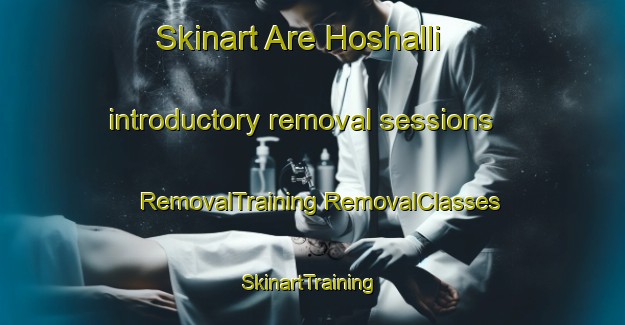 Skinart Are Hoshalli introductory removal sessions | #RemovalTraining #RemovalClasses #SkinartTraining-India