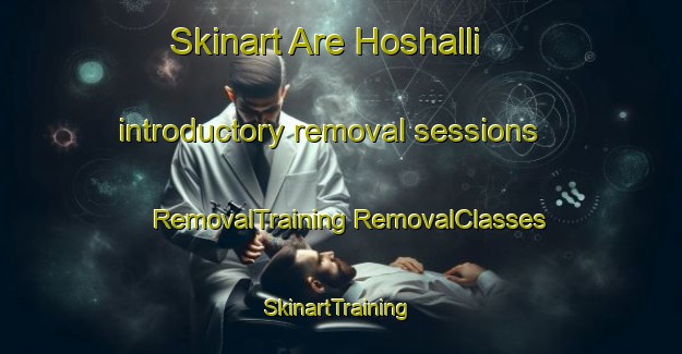 Skinart Are Hoshalli introductory removal sessions | #RemovalTraining #RemovalClasses #SkinartTraining-India