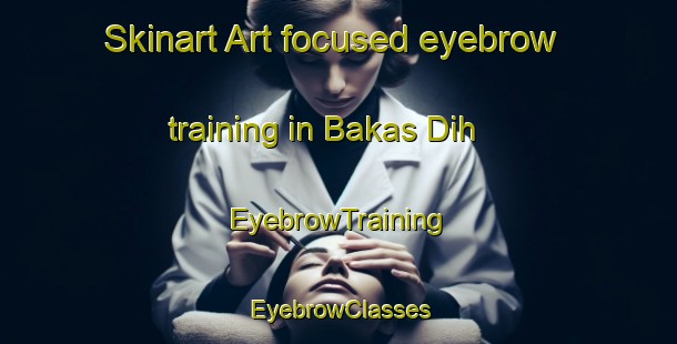 Skinart Art-focused eyebrow training in Bakas Dih | EyebrowTraining | EyebrowClasses | SkinartTraining-India